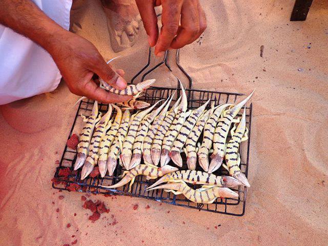أسماك الرمال واحدة من أفضل المؤكلات في الصحراء